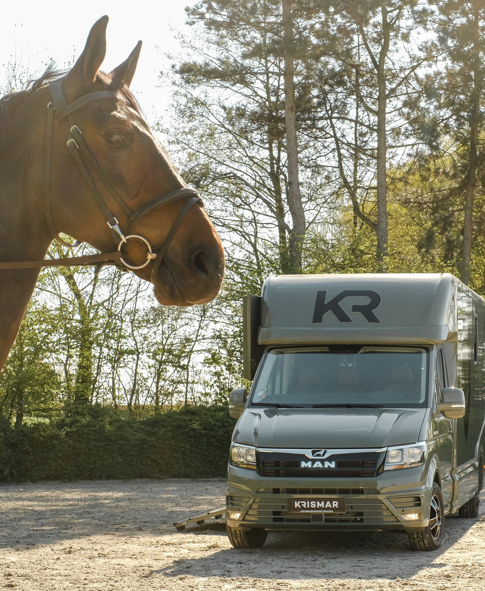 The head of a brown horse with a green Krismar 2-horse van.